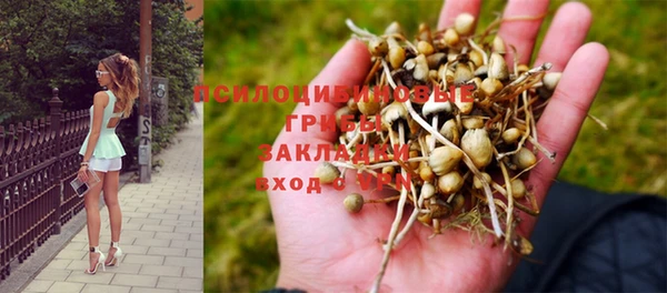 spice Михайловск