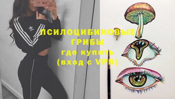 прущие крисы Надым
