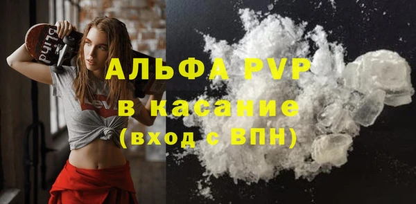ECSTASY Михайлов
