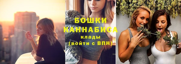 ECSTASY Михайлов