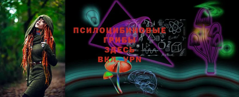 Галлюциногенные грибы Magic Shrooms Палласовка