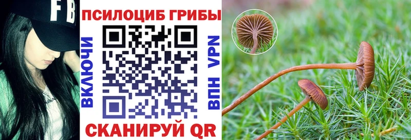 OMG tor  Палласовка  Галлюциногенные грибы мицелий 